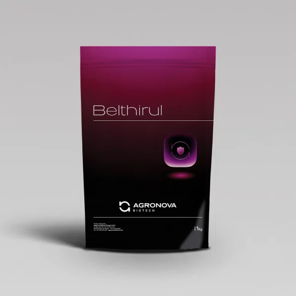 Belthirul