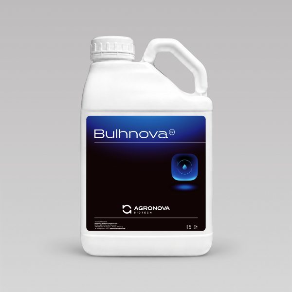 Bulhnova