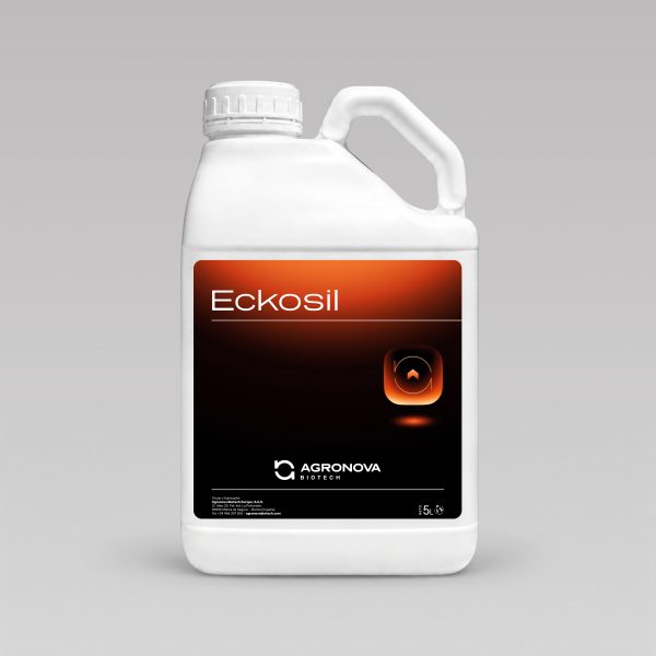 Eckosil