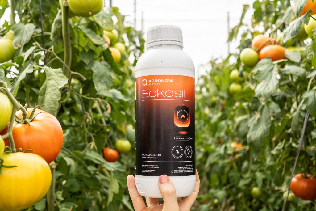 Eckosil Agronova Biotech